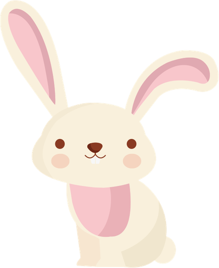 Cute Bunny PNG