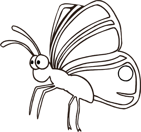 Butterfly Drawing PNG