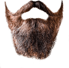 Beard PNG