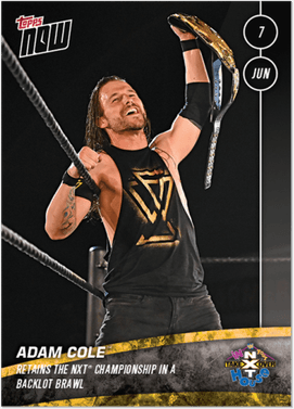 Adam Cole PNG