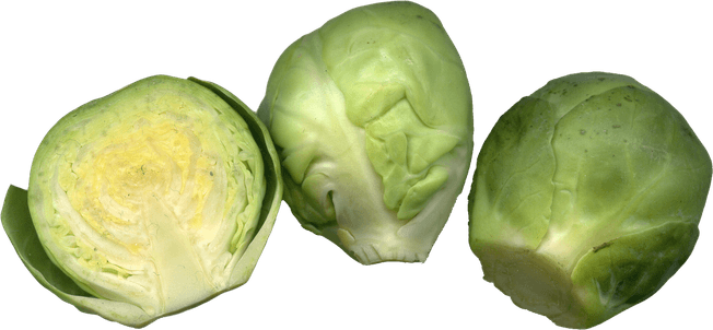 Brussels Sprouts PNG