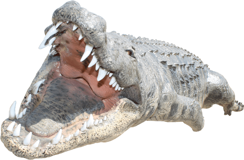 Gator PNG
