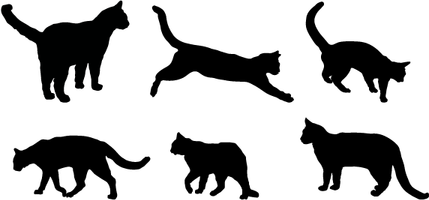 Y2k Cat PNG