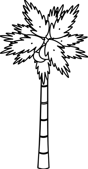 Palm Tree Black And White PNG