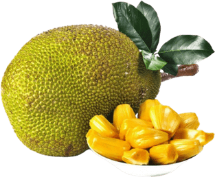 Jackfruit PNG
