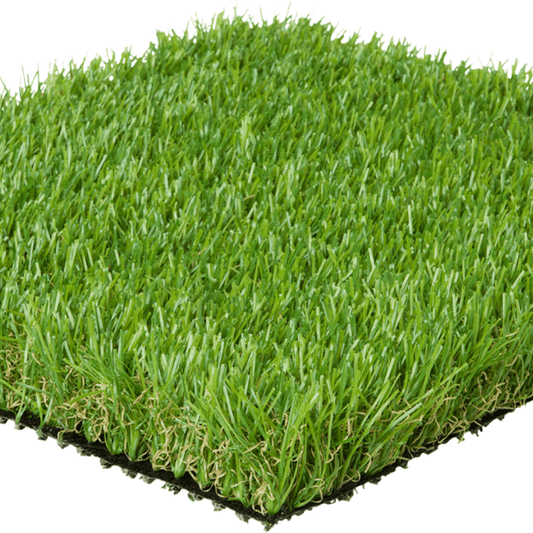 Green Carpet Grass PNG