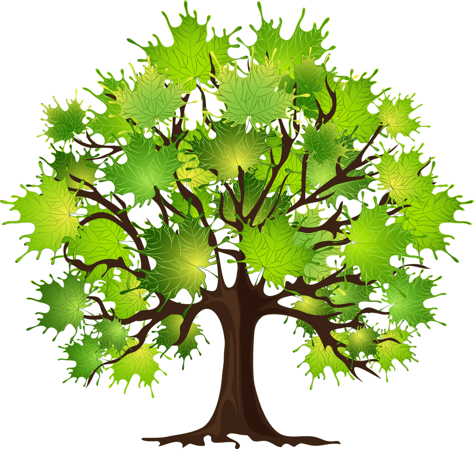 Maple Tree PNG