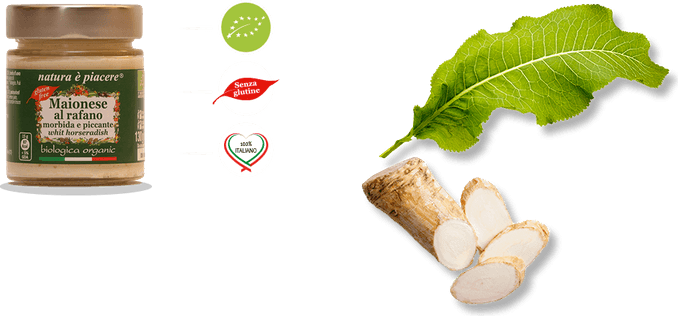 Horseradish PNG