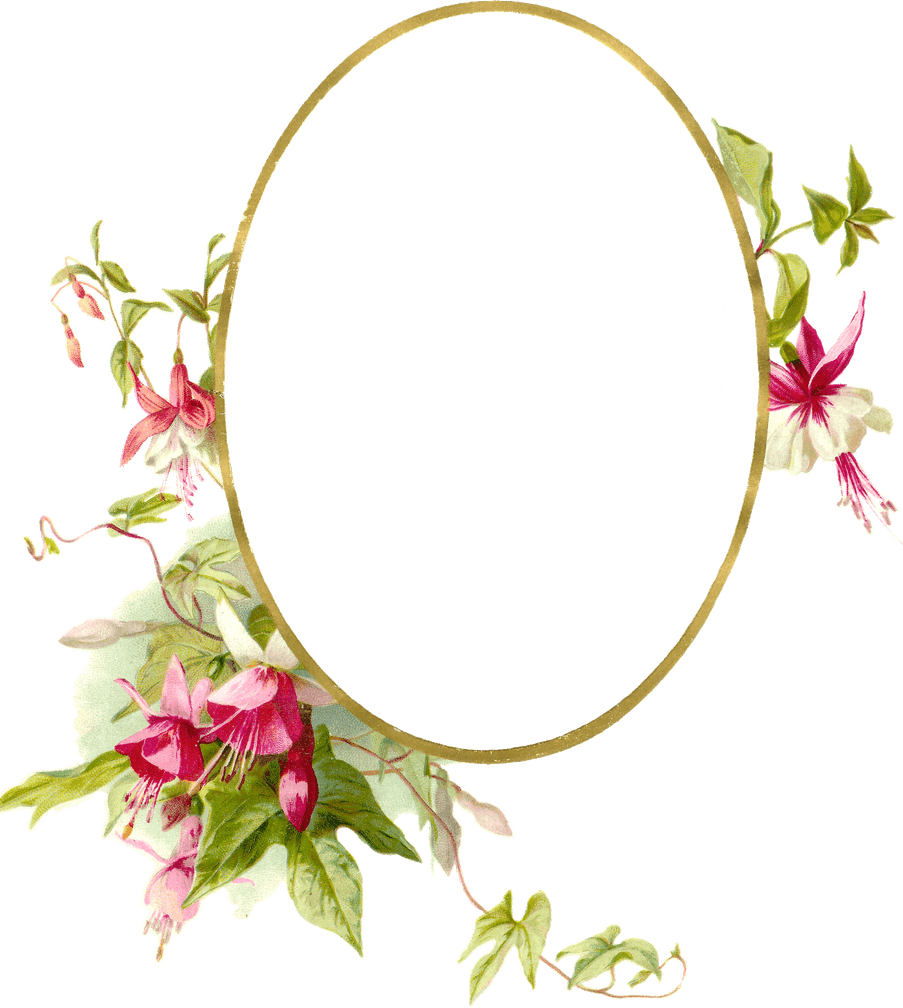 Jasmine Flower Border PNG