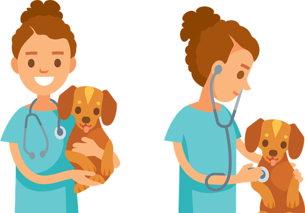 Veterinarian PNG