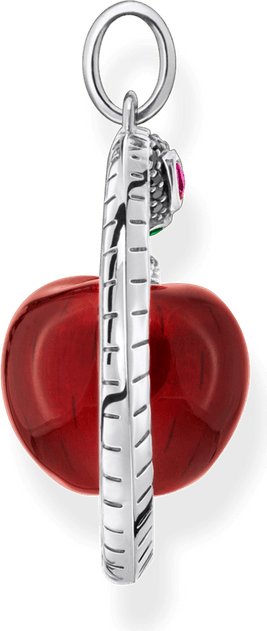 Snake Apple PNG