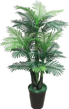 Home Tree PNG