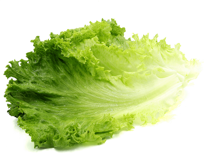Lettuce PNG