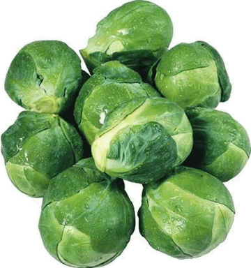 Brussel Sprout PNG