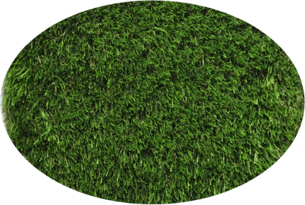 Grass Circle PNG
