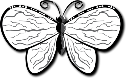 Butterfly Line PNG