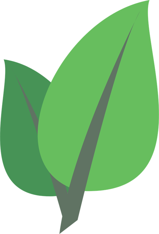 Leaf Icon PNG