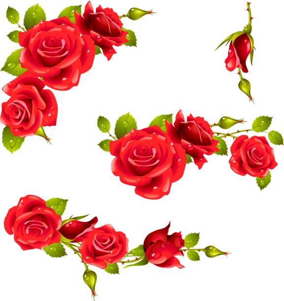 Red Rose Border PNG