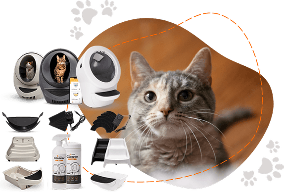 Question Cat PNG