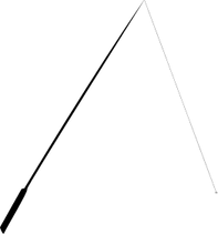 Fishing Pole PNG