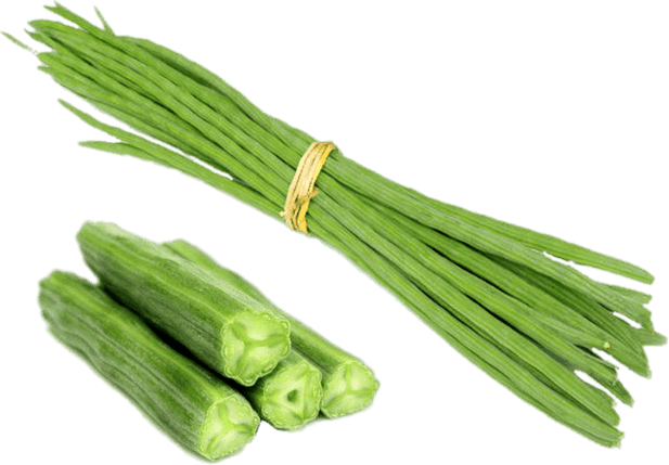 Drumstick Vegetable PNG