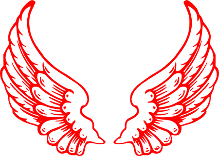 Pink Angel Wings PNG