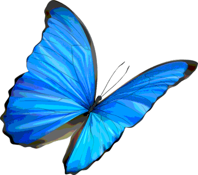 Life Is Strange Butterfly PNG