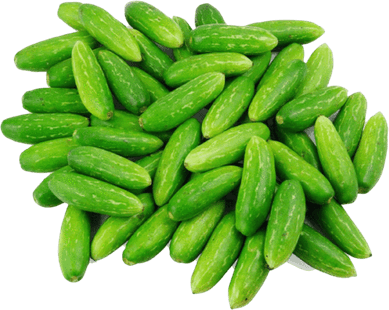 Ivy Gourd PNG