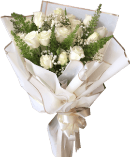 Babys Breath Flower PNG