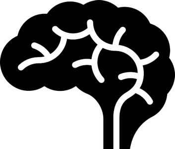 Brain PNG