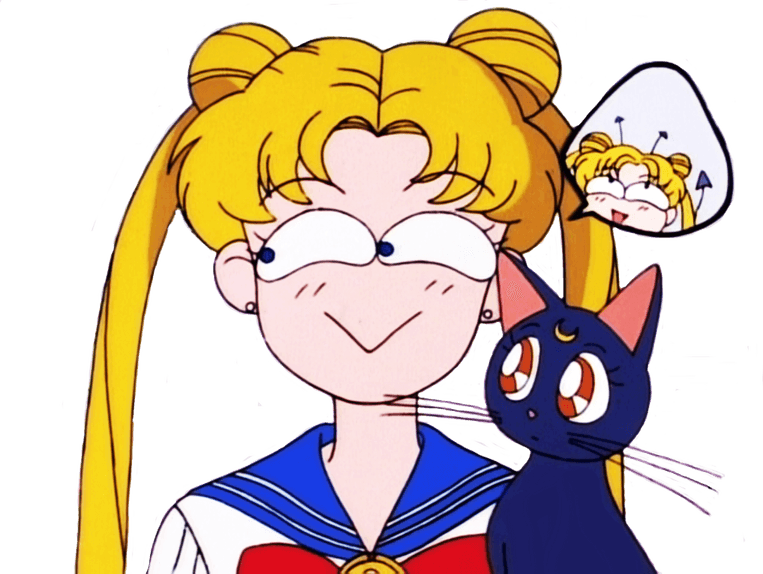 Sailor Moon Cat PNG