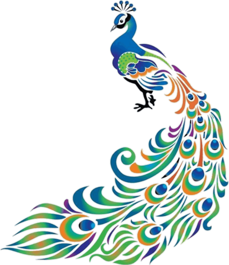 Peacock Logo PNG