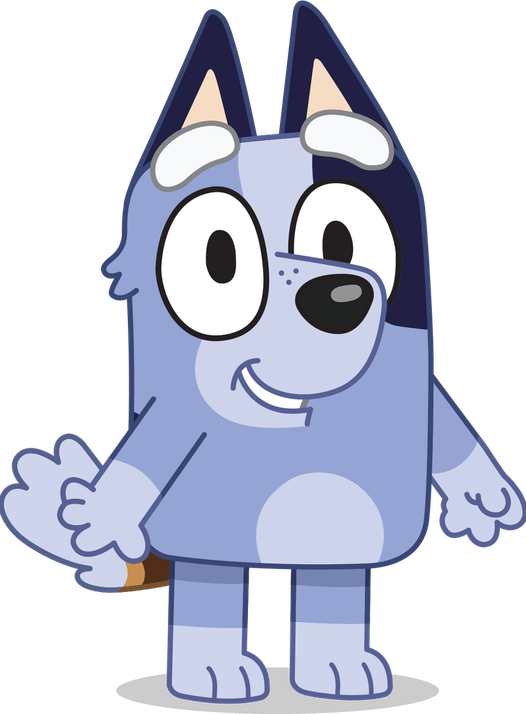 Socks Bluey PNG