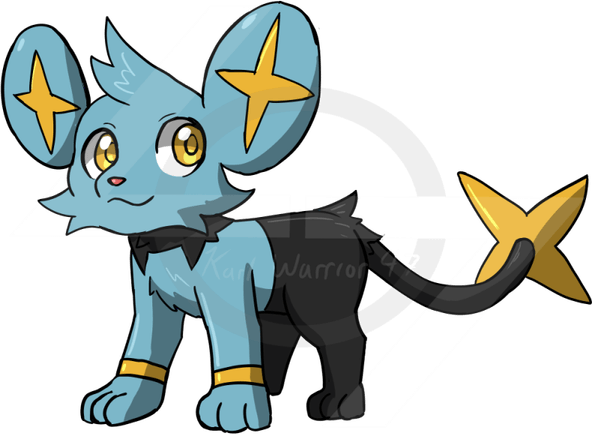 Shinx Pokemon PNG