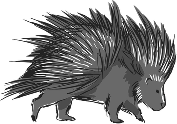 Porcupine PNG