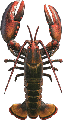 Lobster PNG