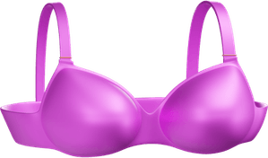 Brassiere PNG
