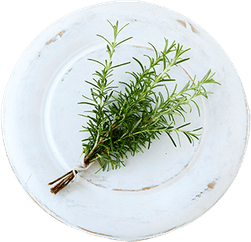 Rosemary PNG