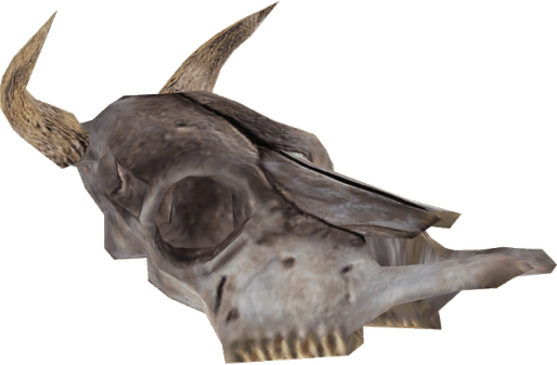 Demon Skull PNG