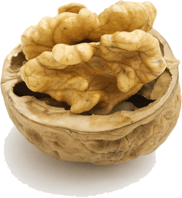 Walnut PNG
