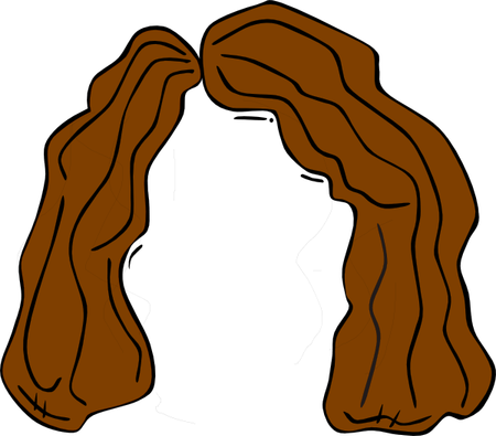 Cartoon Hair PNG