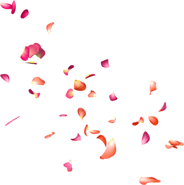Petals PNG
