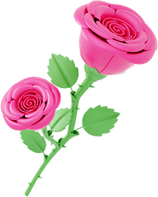 Persian Rose PNG