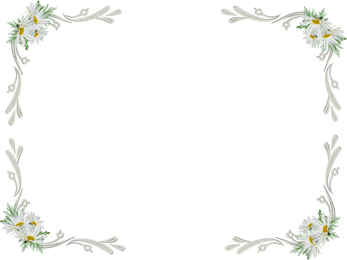 White Flowers Border PNG