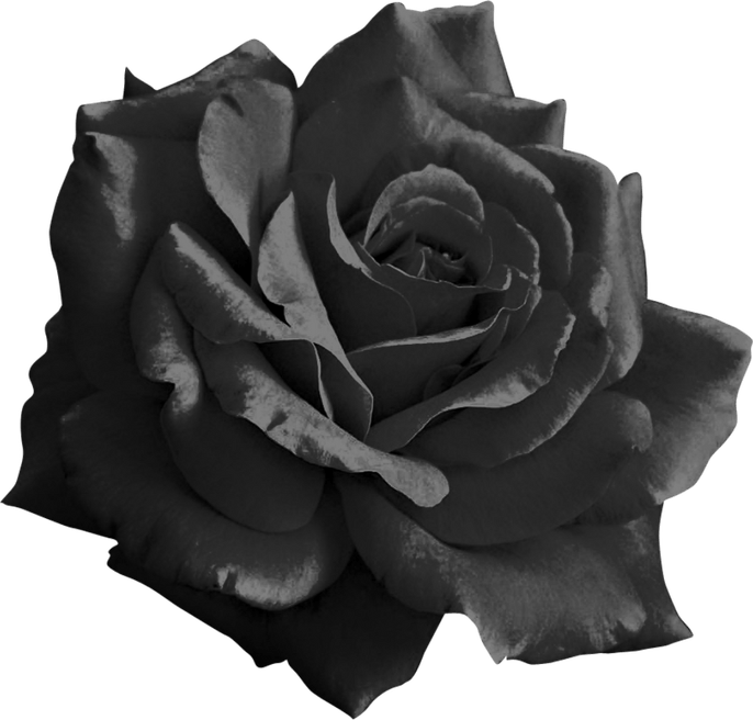 Black Flowers PNG