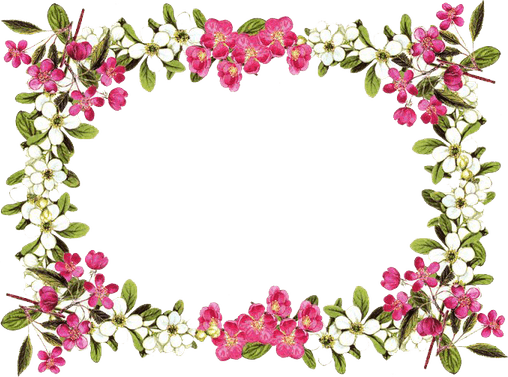 Flowers Borders PNG