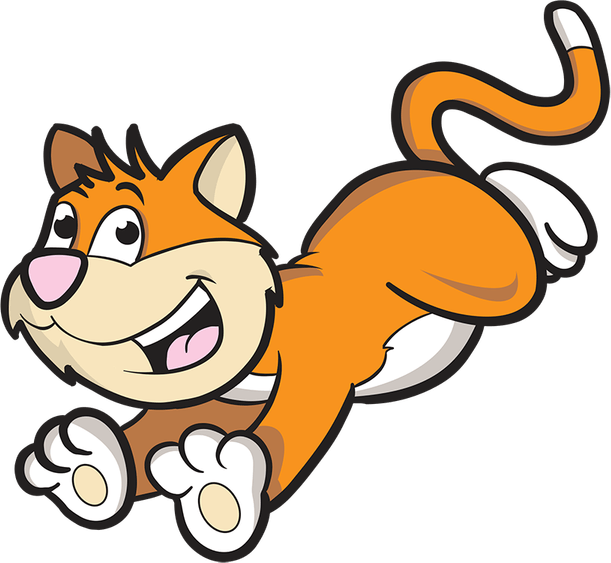 Cat Tail PNG