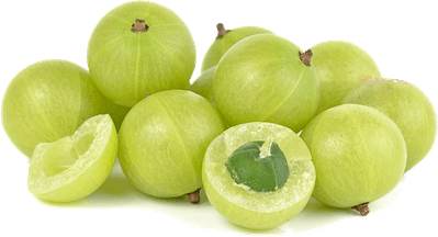 Indian Gooseberry PNG