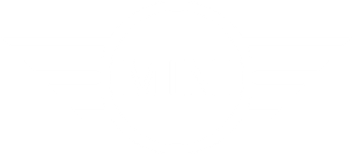 Mini Logo PNG