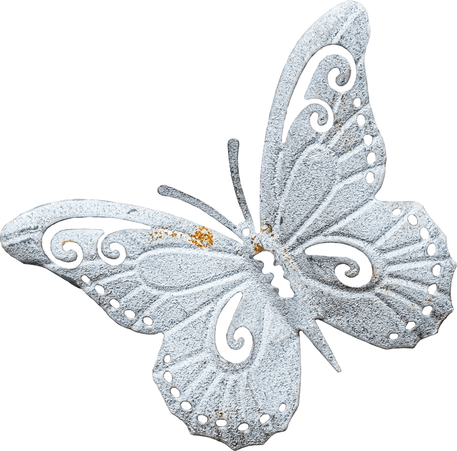 Rhinestone Butterfly PNG